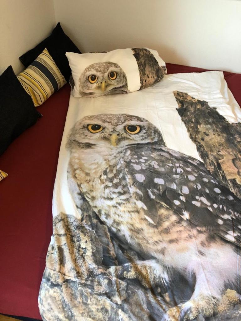 Ferienwohnung Eulennestle Lenzkirch Kültér fotó